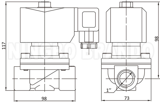 2W250-25 1'' 2 रास्ता सामान्य रूप से बंद पीतल पानी सोलेनोइड वाल्व 24V 220V