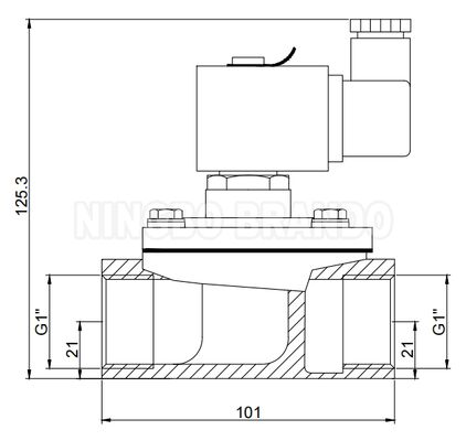 धूल कलेक्टर के लिए 1' सीधी धड़कन जेट वाल्व 24 वी 110 वी 220 वी