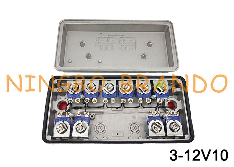 3-12V10 GOYEN प्रकार रिमोट पायलट सोलेनोइड वाल्व बॉक्स बाड़े 12V 24V 110V 220V