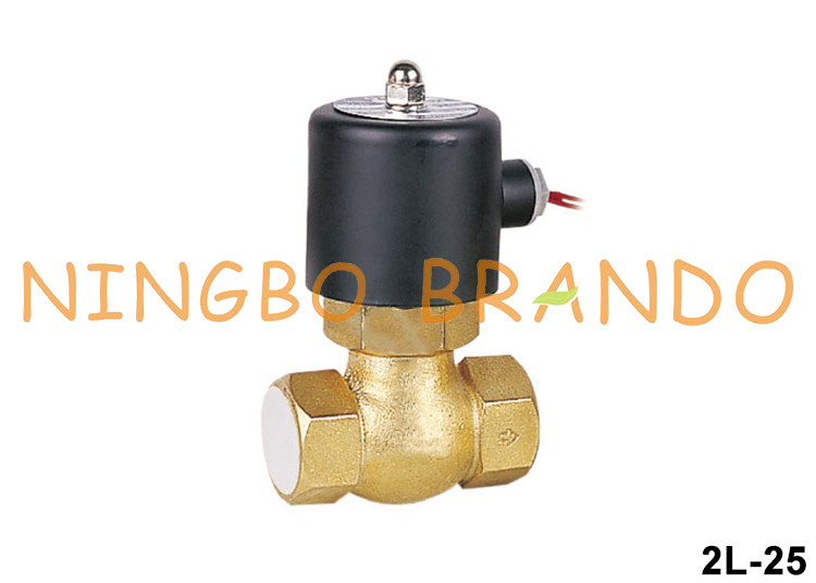 2L-25 US-25 1 '' DN25 ब्रास सोलेनॉइड वाल्व स्टीम 24V 220V . के लिए